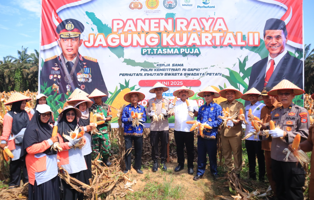 Kapolres Kampar Panen Raya Jagung:  Wujud Dukungan Nyata untuk Ketahanan Pangan Nasional